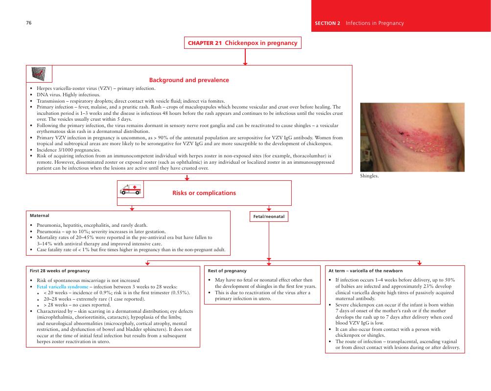 Image of the first page of this content. For PDF version, please use the ‘Save PDF’ preceeding this image.'