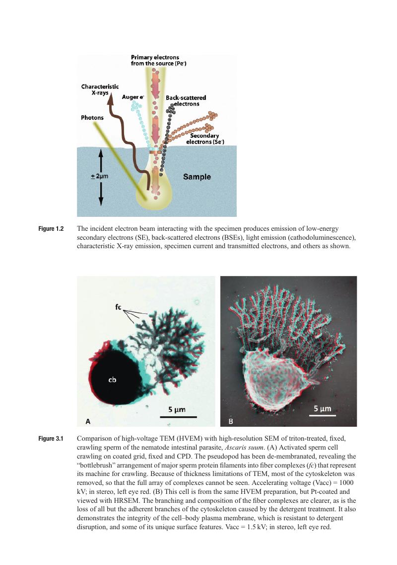 Image of the first page of this content. For PDF version, please use the ‘Save PDF’ preceeding this image.'