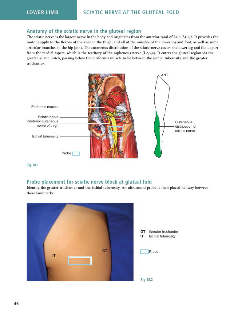 Image of the first page of this content. For PDF version, please use the ‘Save PDF’ preceeding this image.'