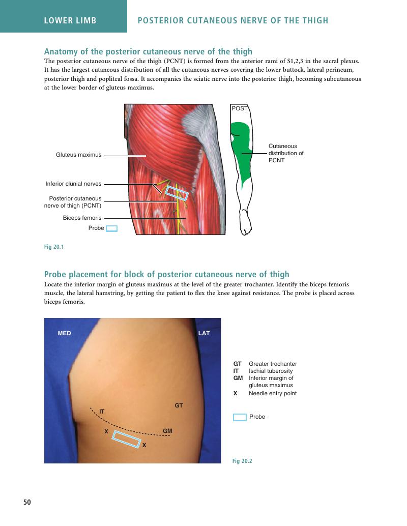 Image of the first page of this content. For PDF version, please use the ‘Save PDF’ preceeding this image.'