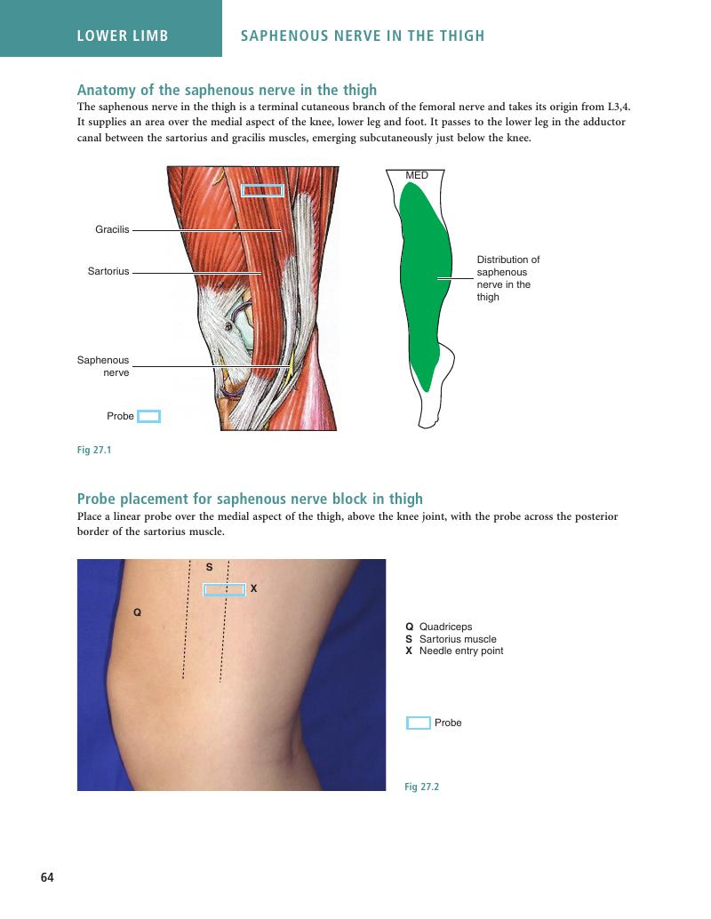 Image of the first page of this content. For PDF version, please use the ‘Save PDF’ preceeding this image.'