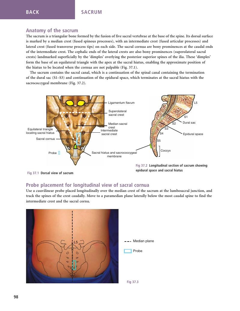 Image of the first page of this content. For PDF version, please use the ‘Save PDF’ preceeding this image.'