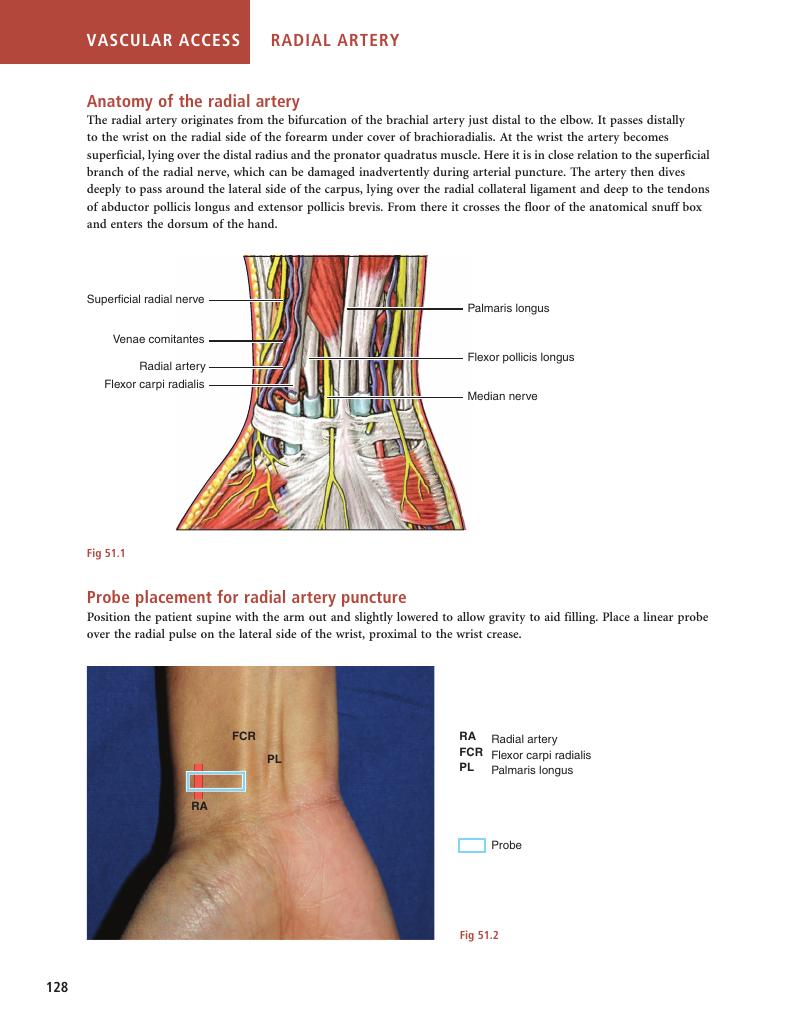 Image of the first page of this content. For PDF version, please use the ‘Save PDF’ preceeding this image.'