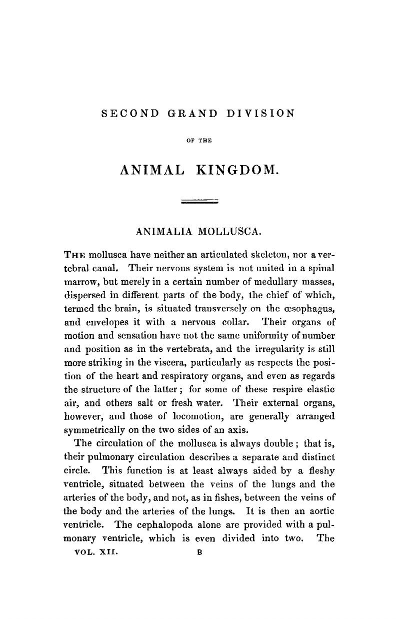 ANIMALIA MOLLUSCA - The Animal Kingdom