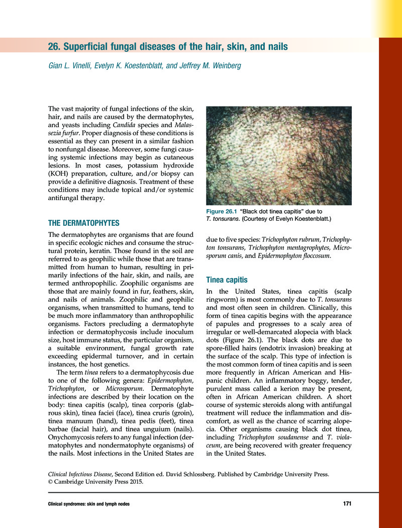Journal of Prescribing Practice - Fungal skin infections