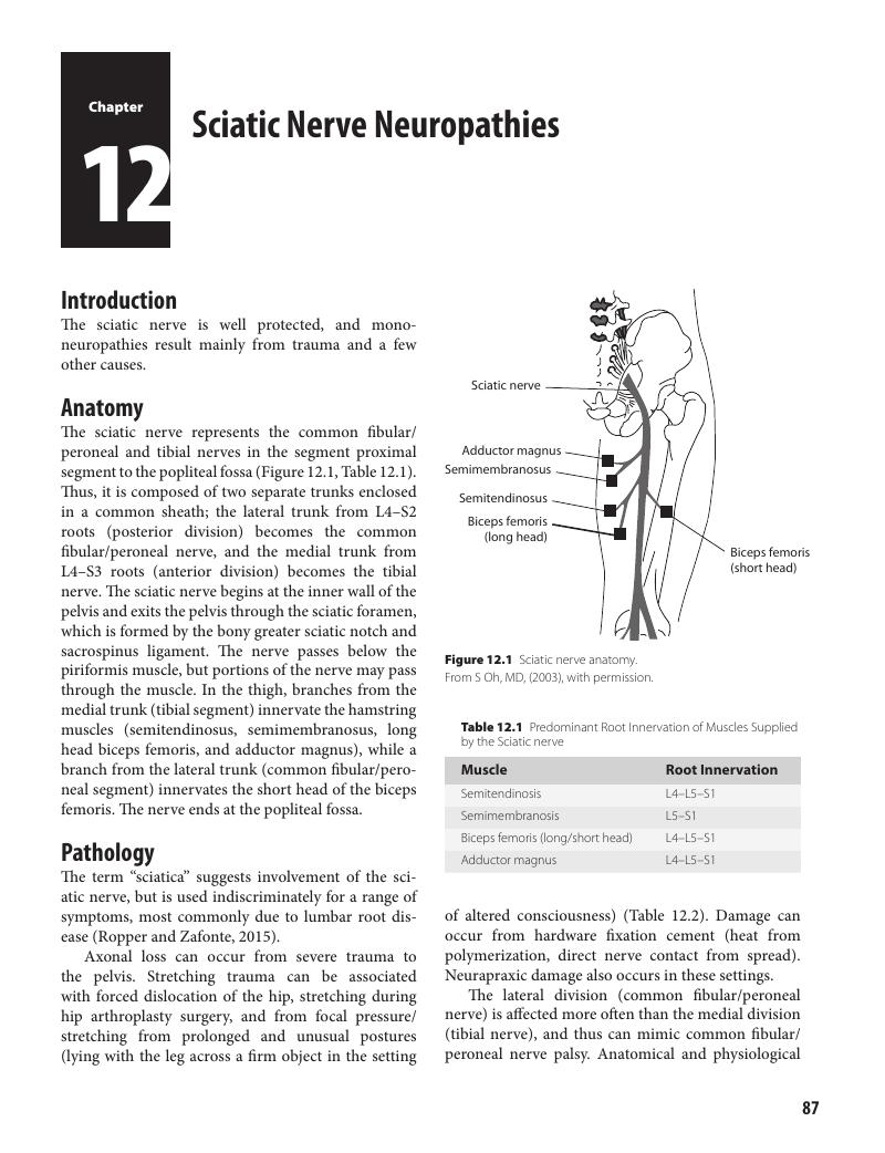 Image of the first page of this content. For PDF version, please use the ‘Save PDF’ preceeding this image.'