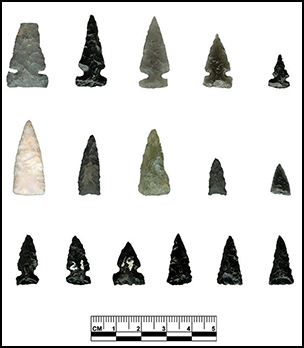 Warfare and big game hunting: flaked-stone projectile points along the ...