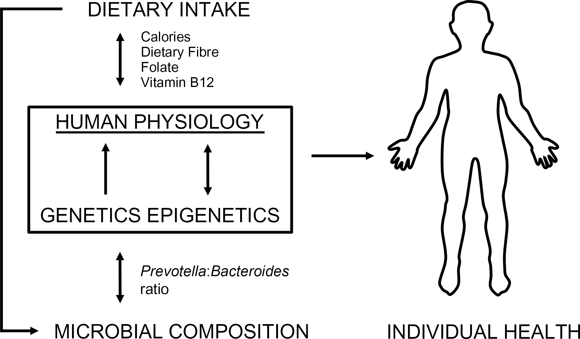 Diets, Nutrients, Genes And The Microbiome: Recent Advances In ...