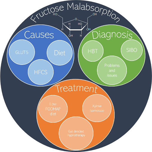 Fructose malabsorption causes diagnosis and treatment British