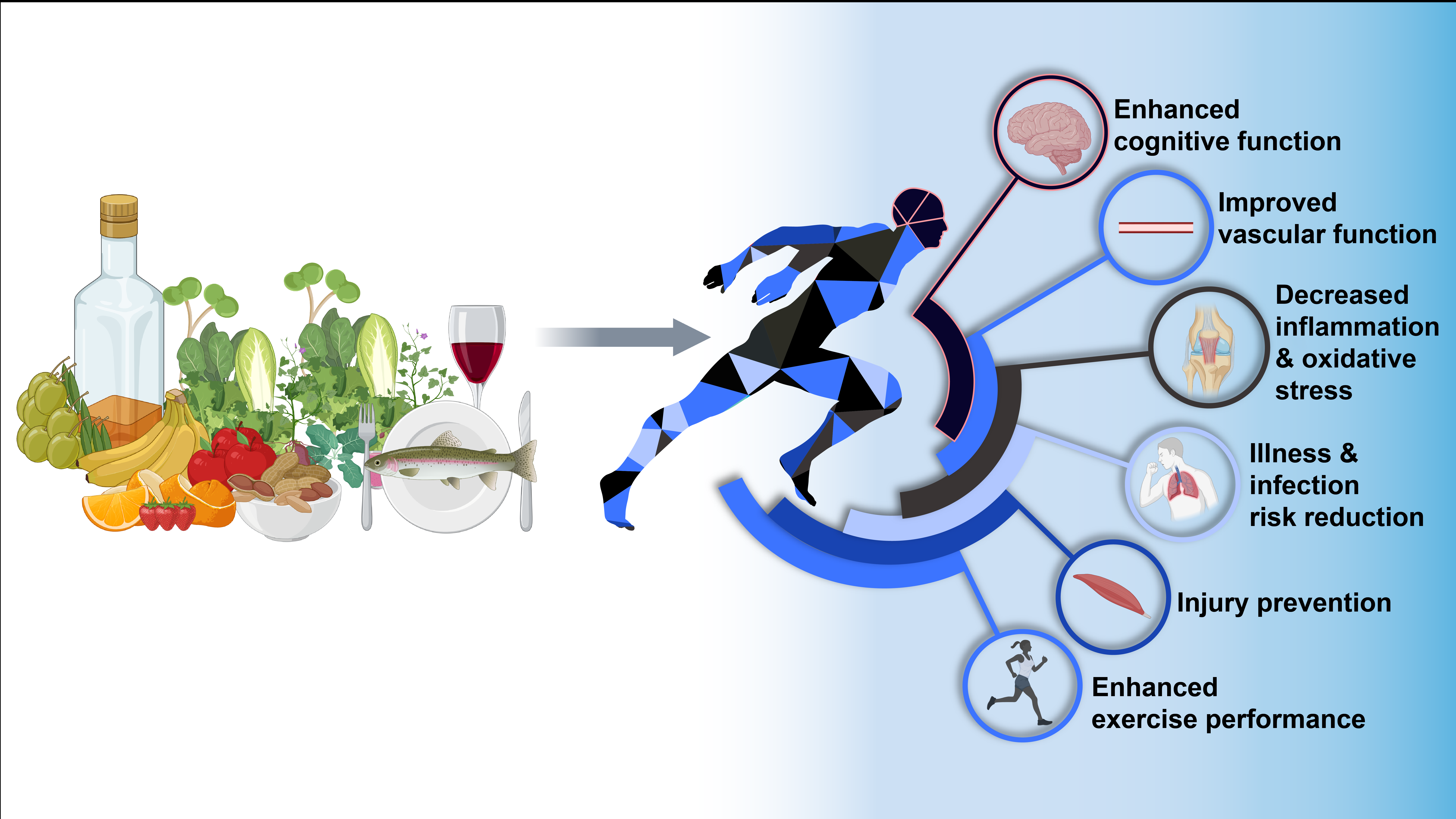 The Mediterranean dietary pattern for optimising health and