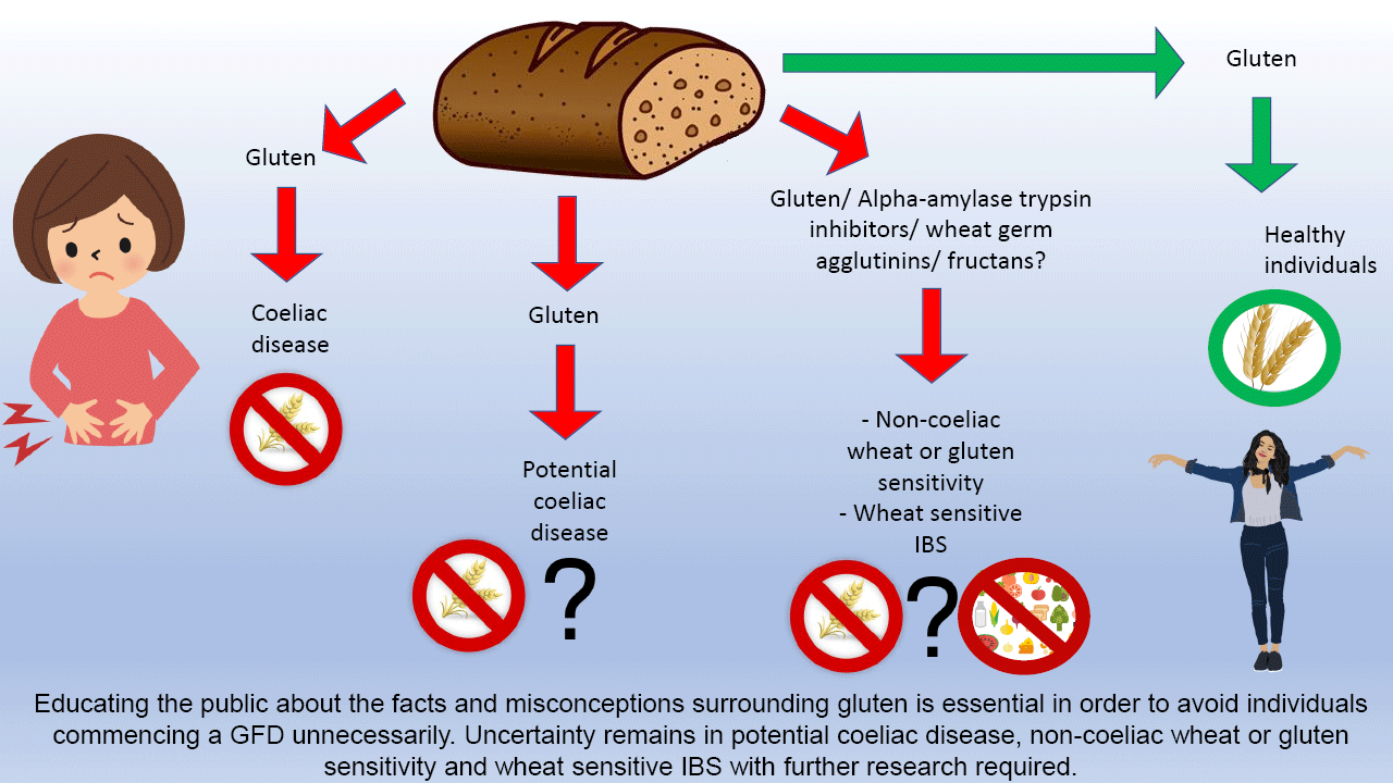 The Truth About Gluten! | British Journal Of Nutrition | Cambridge Core