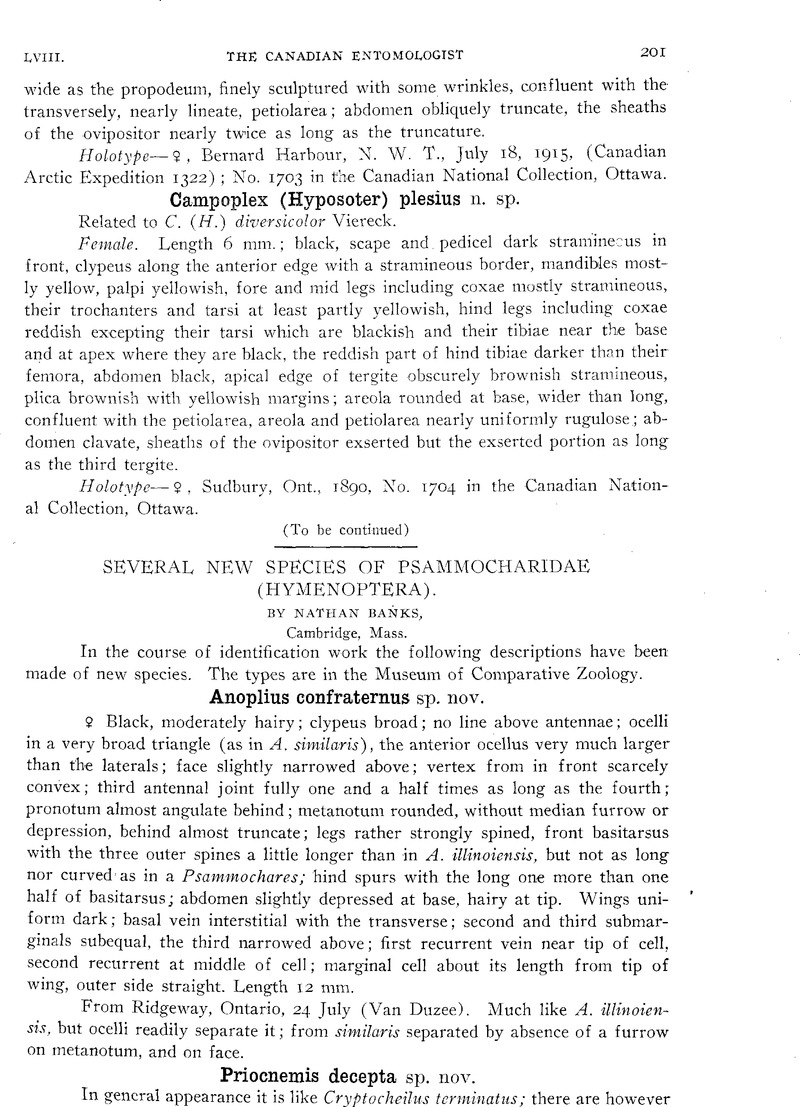 SEVERAL NEW SPECIES OF PSAMMOCHARIDAE (HYMENOPTERA) | The Canadian ...