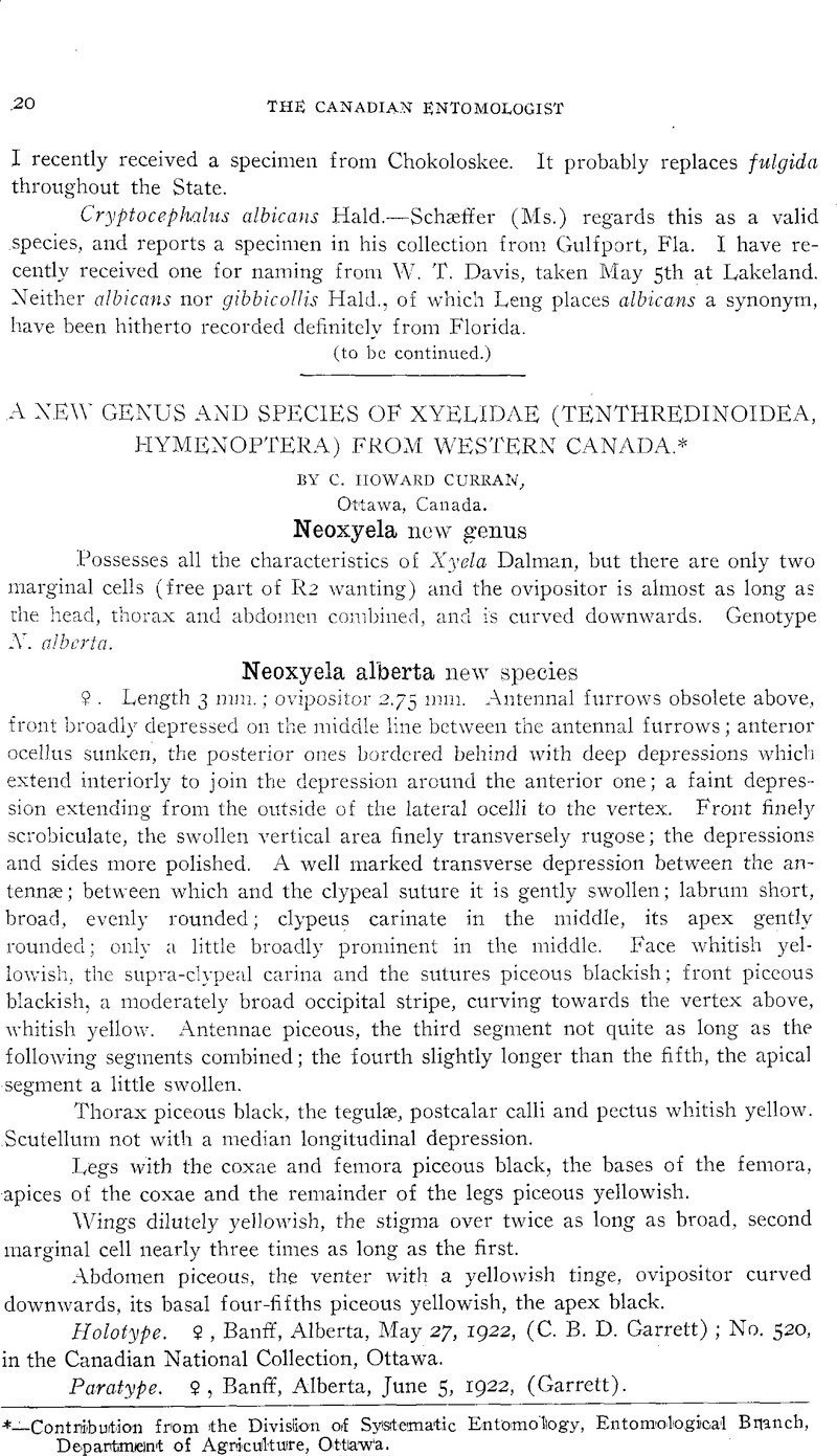 A NEW GENUS AND SPECIES OF XYELIDAE (TENTHREDINOIDEA, HYMENOPTERA) FROM ...