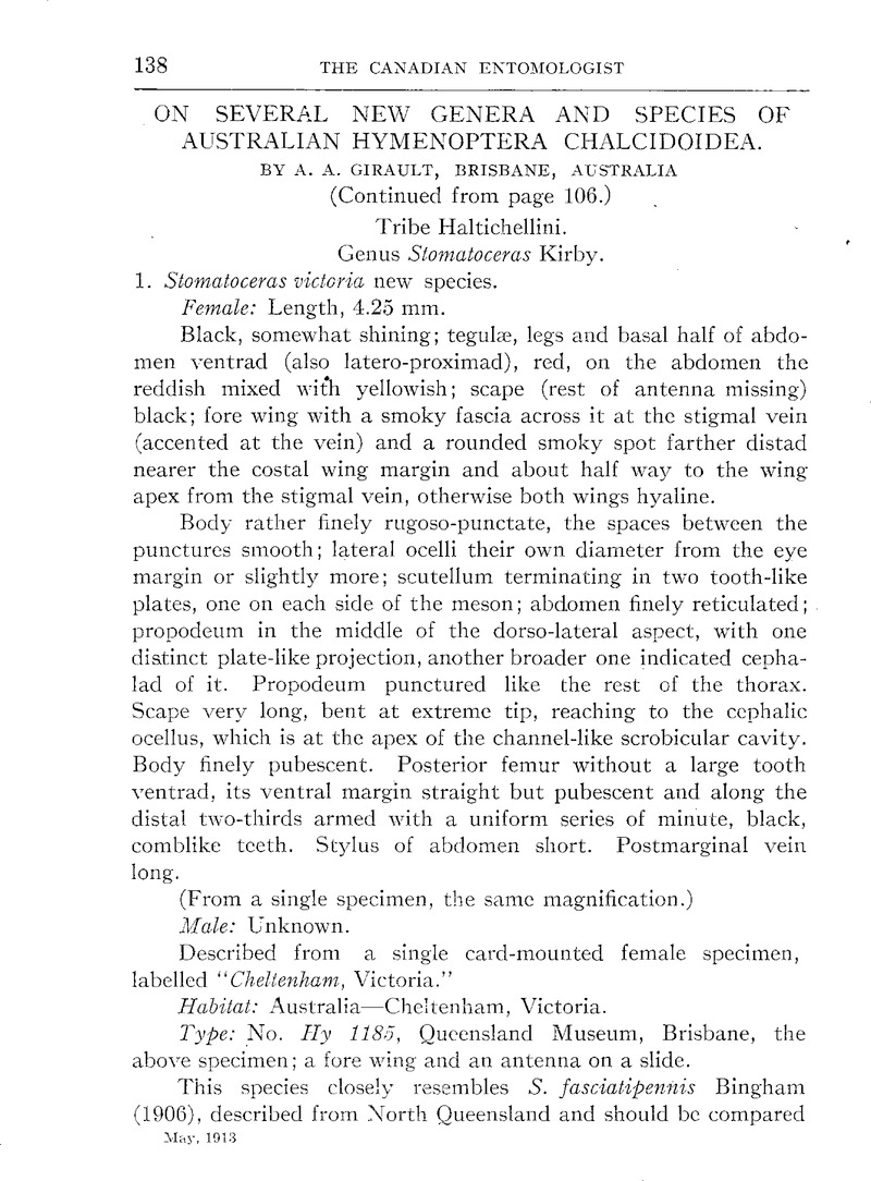 ON SEVERAL NEW GENERA AND SPECIES OF AUSTRALIAN HYMENOPTERA ...