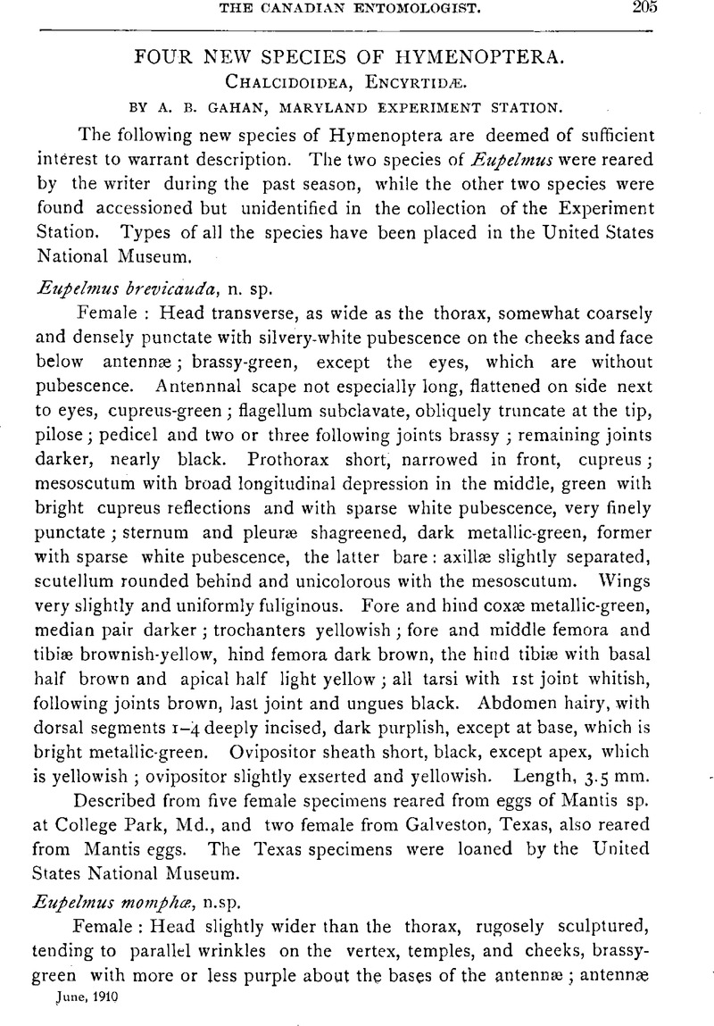 FOUR NEW SPECIES OF HYMENOPTERA.: CHALCIDOIDEA, ENCYRTIDÆ | The ...