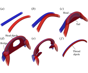 On singularity formation via viscous vortex reconnection | Journal of Fluid  Mechanics | Cambridge Core
