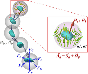 Experimental investigation of the acceleration statistics and