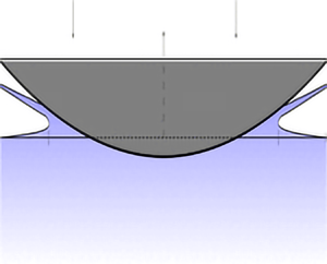 Gravity effect on water entry during an early stage Journal of