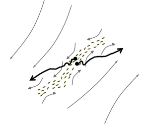 Non-local dispersion and the reassessment of Richardson's t3