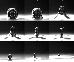 The dynamics of bouncing partially coalescing liquid metal