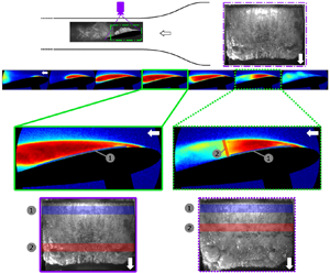 Partial cavity shedding on a hydrofoil resulting from re-entrant flow and  bubbly shock waves | Journal of Fluid Mechanics | Cambridge Core