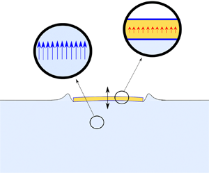 A fluid–solid momentum exchange method for the prediction of