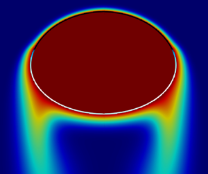 Impact of surfactants on the rise of deformable bubbles and