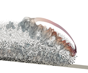 Particle segregation within bidisperse turbidity current evolution