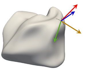 Effects of dilatation and turbulence on tangential strain rates in