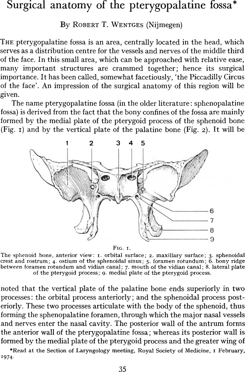 Surgical Anatomy Of The Pterygopalatine Fossa The Journal Of Laryngology And Otology 4049