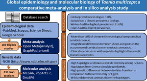 Global epidemiology and molecular biology of Taenia multiceps a