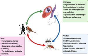 Evolutionary consequences of vector-borne transmission: how using ...