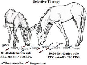 Horse and donkey parasitology: differences and analogies for a