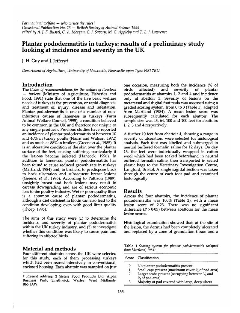 Plantar Pododermatitis In Turkeys Results Of A Preliminary Study