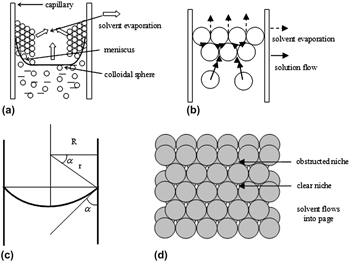 Evaporation-induced self-assembly of capillary cylindrical colloidal ...