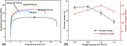 Effects of carbon nanotube content on morphology of SiCp(CNT