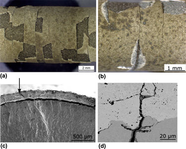 Isothermal And Thermo-mechanical Fatigue Behavior Of 16Mo3 Steel Coated ...