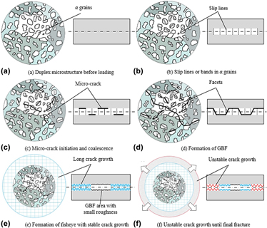 Fatigue Crack Microstructures