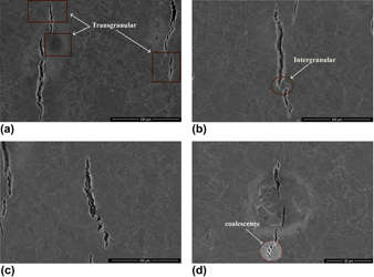 Investigation of hydrogen embrittlement in 12Cr2Mo1R(H) steel | Journal