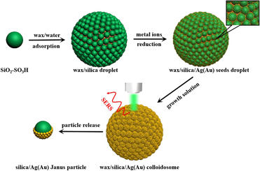 Fabrication of 3D wax/silica/Ag(Au) colloidosomes as surface-enhanced ...