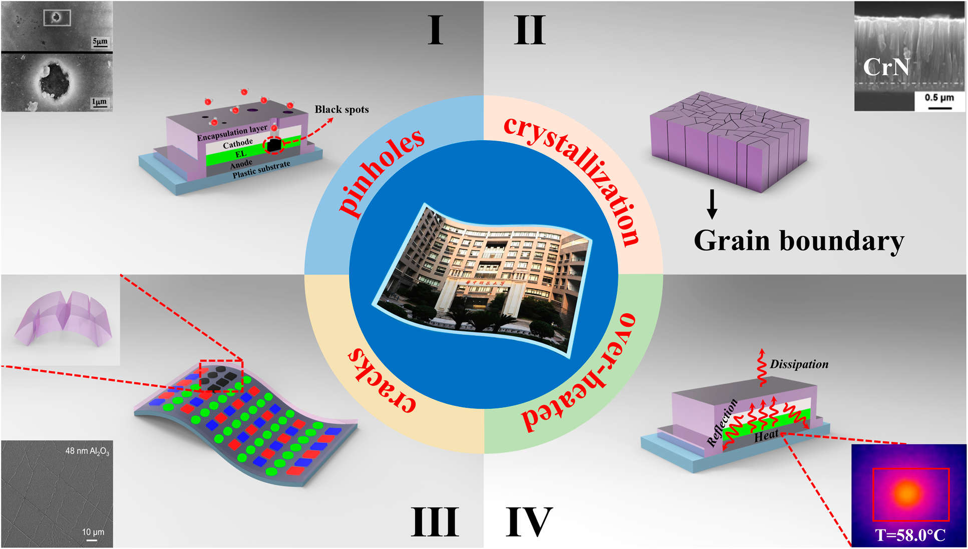 Flexible Organic Light Emitting Diode