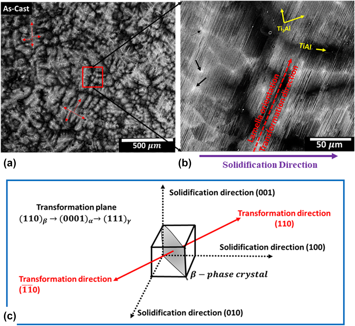 Mechanism of shear band formation and dynamic softening in a two-phase (α2  + γ) titanium aluminide | Journal of Materials Research | Cambridge Core