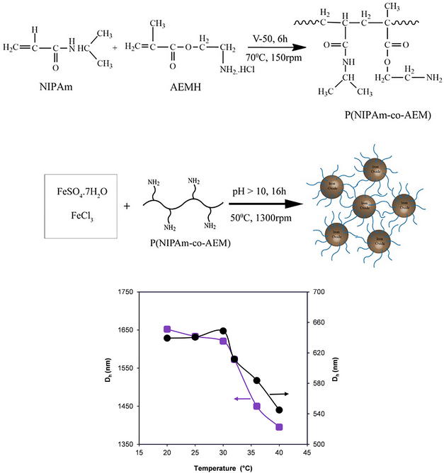 A Simple In Situ Synthesis Of Iron Oxide Magnetic Nanoparticles ...