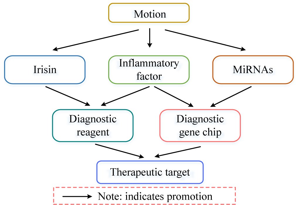 Study On The Neurobiological Mechanism Of Exercise Intervention On ...