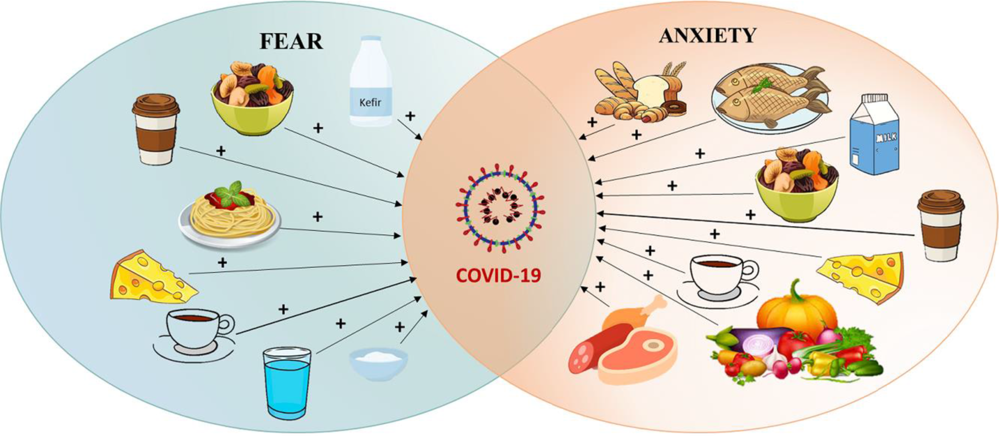 Evaluation of the effects of fear and anxiety on nutrition during the ...
