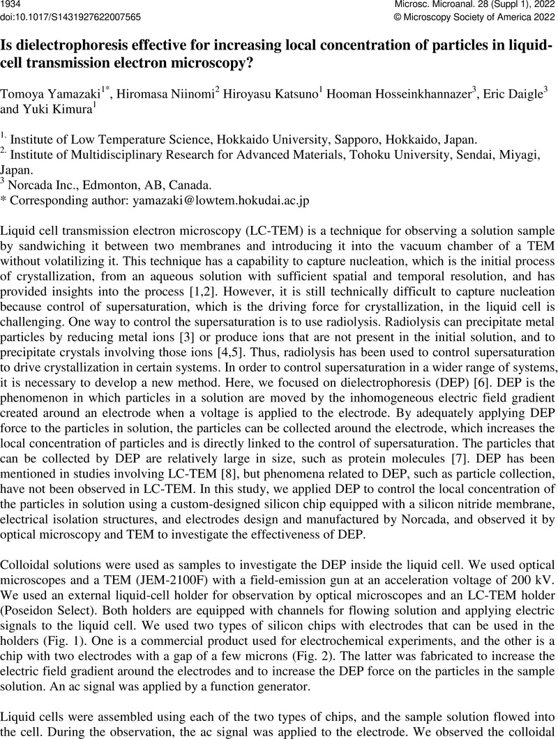 Is dielectrophoresis effective for increasing local concentration