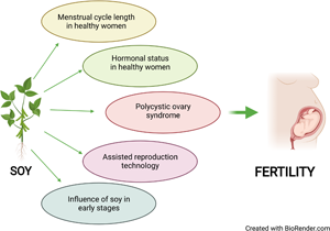 The role of soy and soy isoflavones on women s fertility and