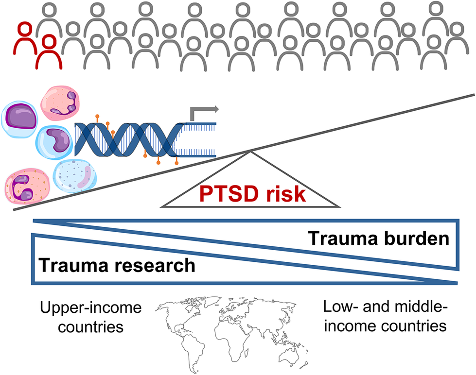 Advances In The Molecular Neurobiology Of Posttraumatic Stress Disorder ...