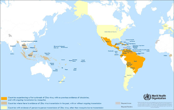 Analytical methods for detection of Zika virus | MRS Communications ...