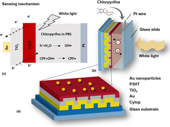 Surface Plasmon Resonance-enhanced Photoelectrochemical Sensor For ...